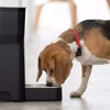 7 Innovative Pet Products