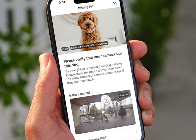Screenshot of the Search Party feature that shows a picture of the m issing dog and a video frame of a dog.