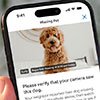 Lost Dog? Ring’s New AI Feature May Help Bring Them Home