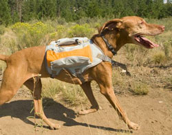 Ruffwear Singletrak Pack