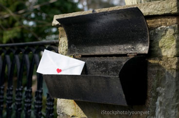 Valentine's Day Card
