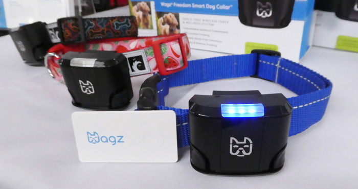Wagz Freedom smart dog collar with a blue stripe on the right and a Wagz Tagz on the left.  Two other Wagz necklaces are visible in the background, along with the box for the necklace.