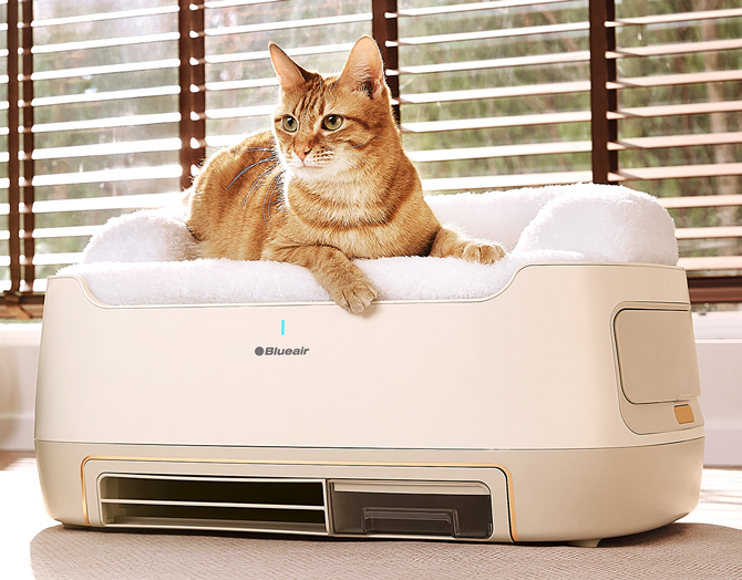 Blueair PetAir Pro with padded bed