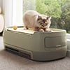 Blueair PetAir Pro: The Air Purifier That Doubles as a Cat Bed