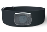 BodyMedia CORE 2