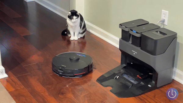 Video of Roborock S7 MaxV Ultra moving on wood floor with a cat watching.