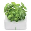 Tech To Make Your Garden Grow