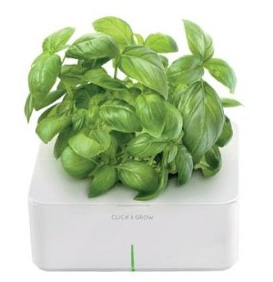 Click and Grow Smart Flowerpot