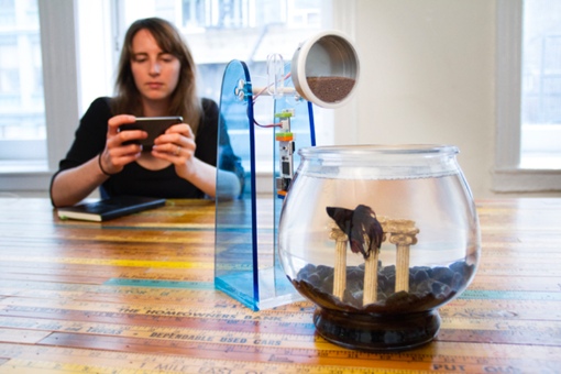 cloudBits automated fish feeder