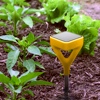 The Future of Plant and Garden Care on Display at CES 2015