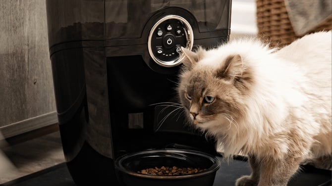 white cat eating from black Whisker Feeder
