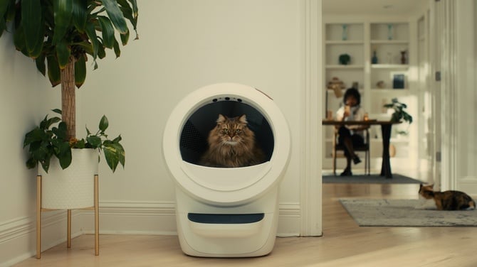 Fluffy brown cat sitting in white Whisker LR 4