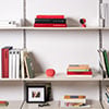 Meet Gemini Home: The AI Upgrade Google Assistant Needed
