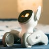 From Pet Care to Projectors, These Personal Robots Impressed Us at CES