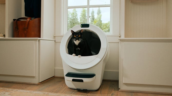 White Whisker LR5 with a black cat sitting inside