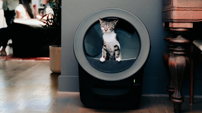 Whisker LR EVO in grey with grey kitten