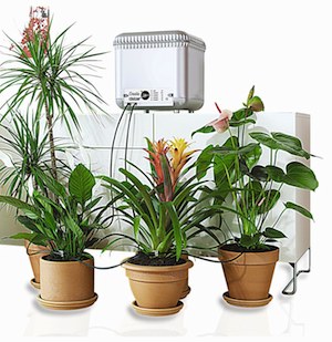 Oasis Self-Watering System