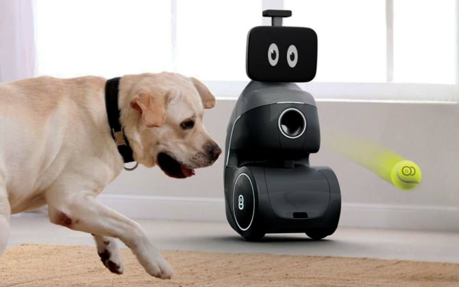 A dog leaps after a ball thrown by ORo, a robot with large eyes