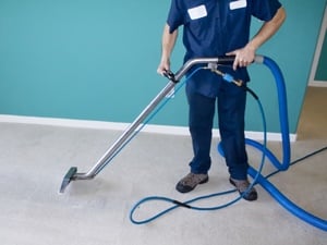 Professional Carpet Cleaner