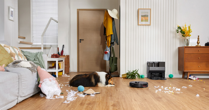 Roborock S7 MaxV Ultra mop-vac in room strewn with feathers and other debris. A dog is lying on the floor, pillows with feathers coming out are on the sofa. 