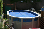 Tobey's above-ground pool