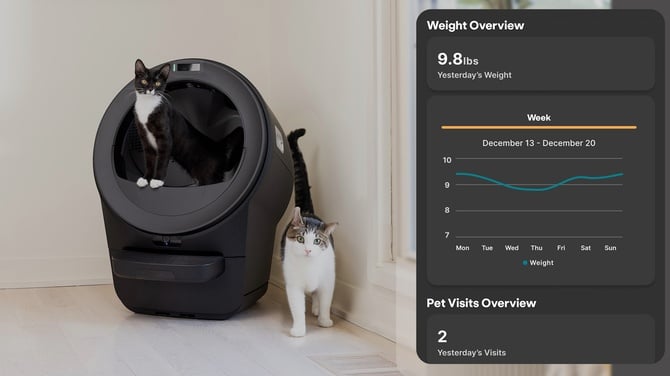 Whisker app showing cat weight trend over time