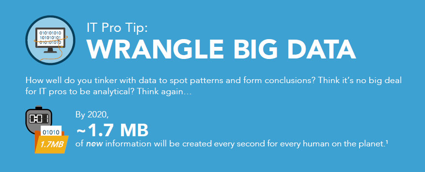 Capella University IT big data infographic