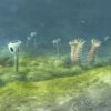 Animals may be up to 200 million years older than fossils show