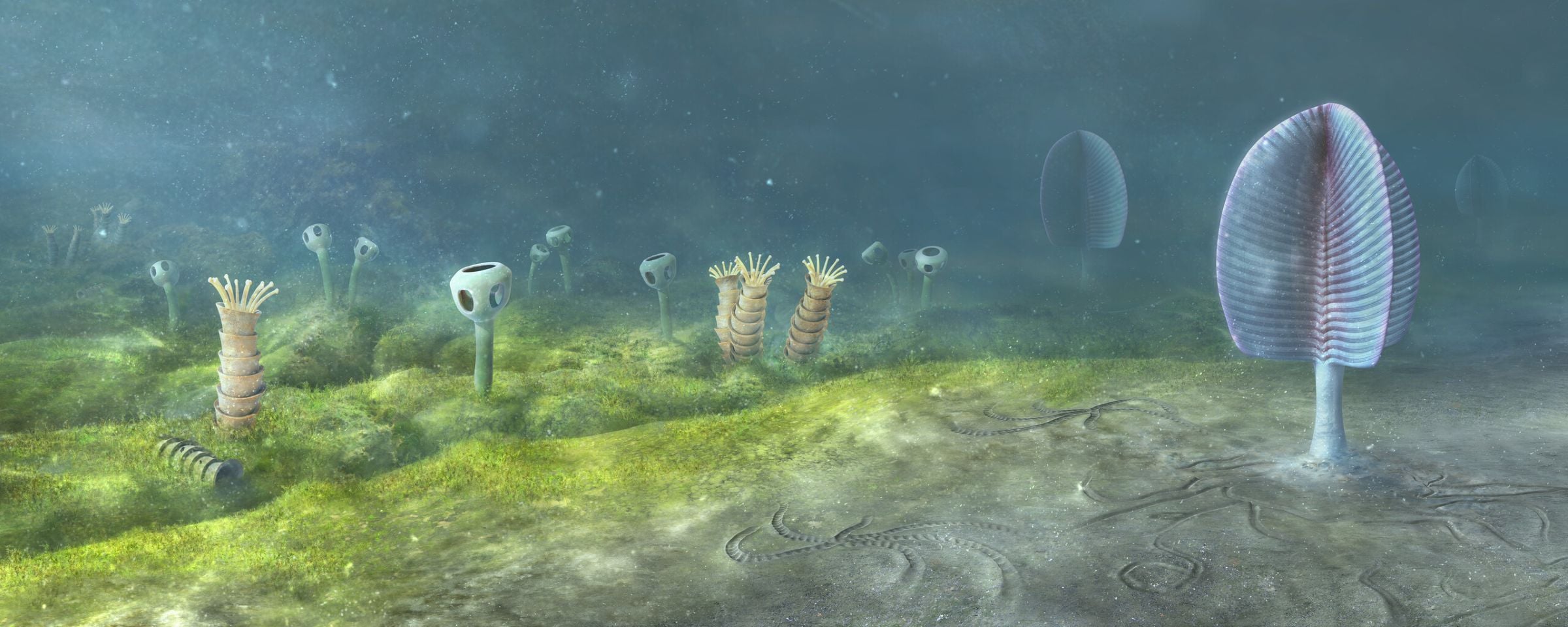 Illustration of an ancient sea floor with a tall leaf-shaped organism on a stalk, goblet-shaped organisms, and stacked tube-like creatures with tentacles, above winding trails in the sediment.