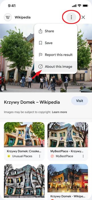 Screenshot of Google Image Search About this image. You see the menu icon circled and the About this image menu option pointed out.  