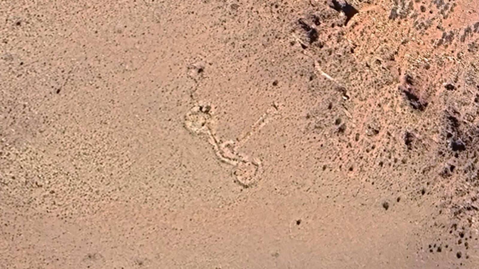 Satellite view of large stone circles connected by straight corridors on a remote mountainside in Argentina’s Andes.