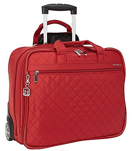 Hedgren Cindy Rolling Business Case