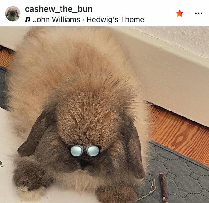 Instagram post top navigation showing the menu triple dots and the red star signifying a favorite account.