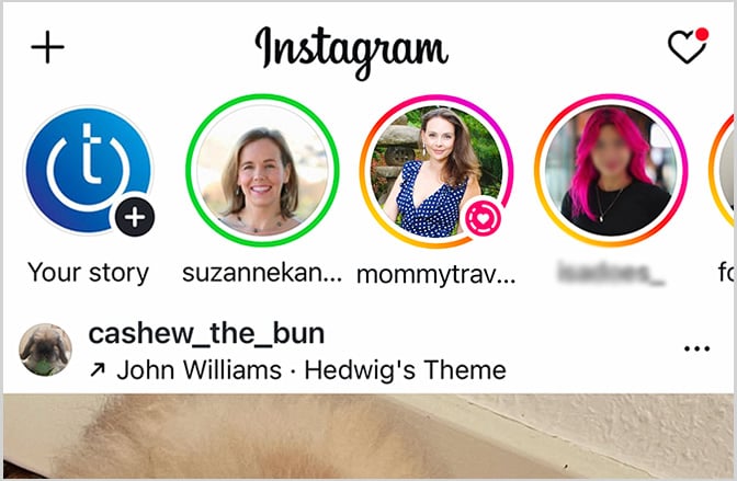 Screenshot of Instagram shows the Story tray at top of Instagram feed, showing a mix of pink/orange rings, a gray ring, and a green ring