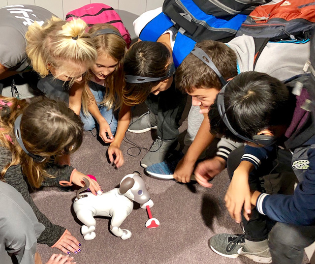 Adorable robotic dog