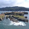 A hidden effect of CO2 may threaten the ocean food chain