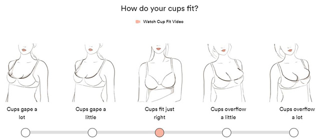 Review of ThirdLove Online Bra Shopping Experience - Techlicious