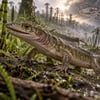 X-rays reveal what the 'oldest reptile' fossil was hiding