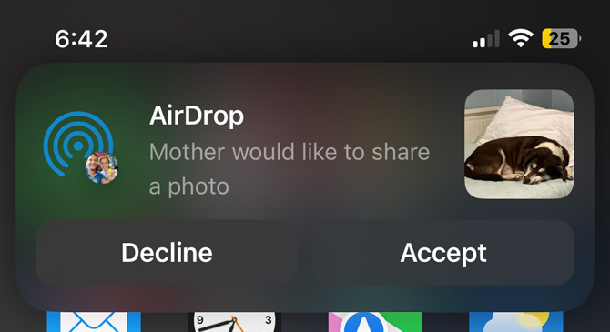 Screenshot of AirDrop with a picture of a dog with blanked out name would like to share a photo. Below the photo are Decline and Accept buttons. 