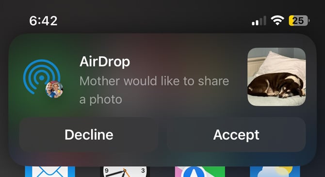 Screenshot of AirDrop with a picture of a dog with blanked out name would like to share a photo. Below the photo are Decline and Accept buttons. 