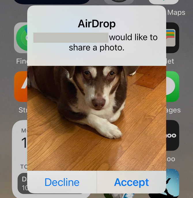 Screenshot of AirDrop with a picture of a dog with blanked out name would like to share a photo. Below the photo are Decline and Accept buttons. 