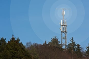 Cell tower in the woods