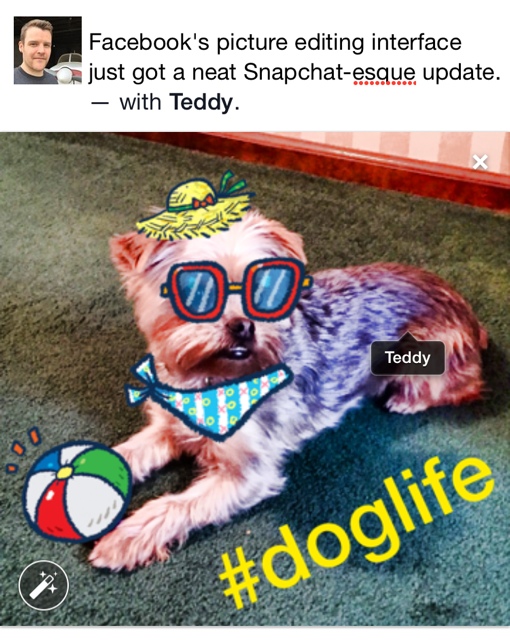 Picture edited with Facebook's new photo editor suite