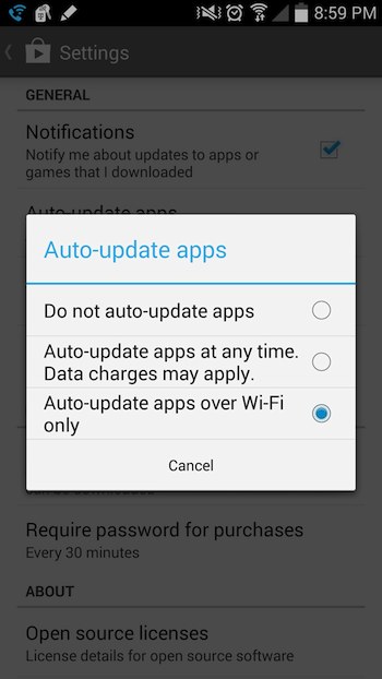 Google Play auto update settings