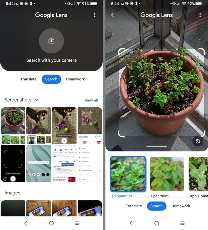 Two screenshots of Google image search: on the left you see images you can search and the Google Lens Camera at the top. On the right you see a plant highlighted with brackets with plants search results.