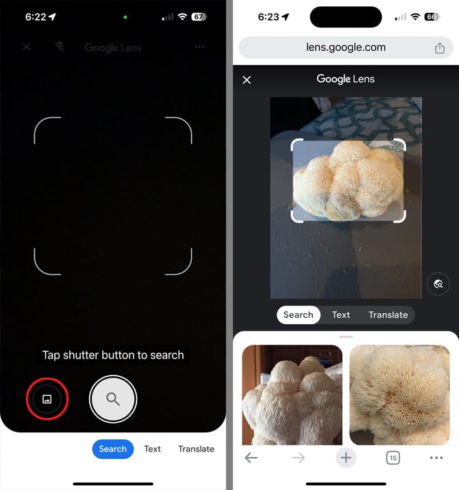 Two screenshots of the Chrome app. On the left there is a blank screen with white brackets and a photo icon  that's circled in red. On the right, there is a photo of a lion's mane mushroom with search results below showing pictures of similar looking mushrooms. 