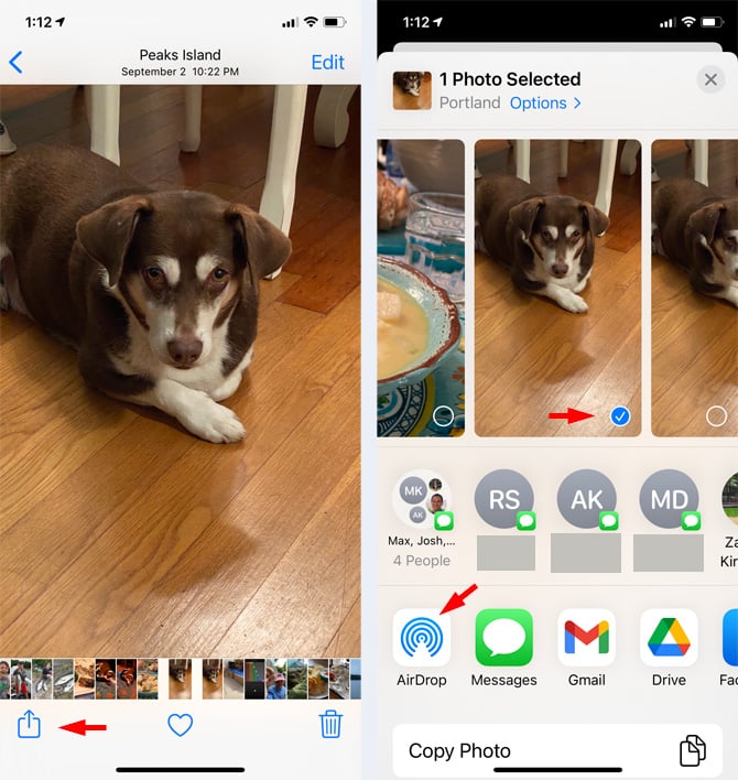 Two screenshots of AirDrop from Photos app. First screenshot from the left shows picture of dogs with a menu bar at the bottom with the share icon (rectangle with arrow coming out the top), a heart and a trash can. The second screenshot shows the dog photo with a check mark in a blue circle, a row of initials with Messages icons next to them, and a bottom row with the AirDrop icon, Messages icon, Gmail icon, and Drive icon. 