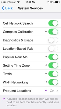 iOS 7 System Services screen