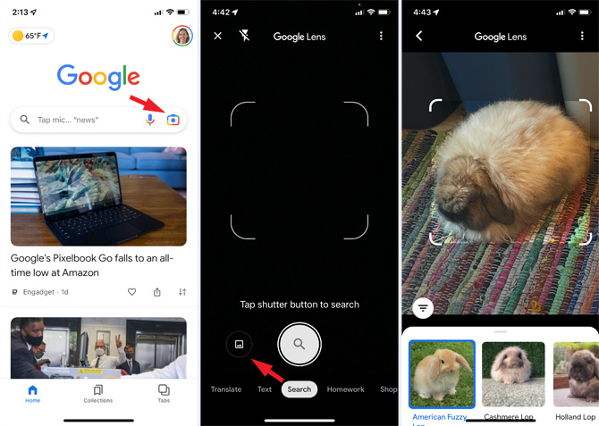 Three screenshots. From the left, the 1st screenshot shows the home page of the Google App with the Google logo at the top and the search bar with the spyglass on the left and the mic and camera icons (pointed out) on the right. In the 2nd screenshot there is a blank screen with white brackets around it. Under the brackets it says Tap shutter button to search and below are a photo icon on the left (pointed out) and a white button with a spyglass in the center. In the 3rd screenshot, there is a photo of a rabbit with search results below showing pictures of rabits: an American Fuzzy, Cashmere Lop and Holland Lop.