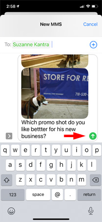 Screenshot of text messages showing dog photos and selected text in new message. The send button is pointed out.